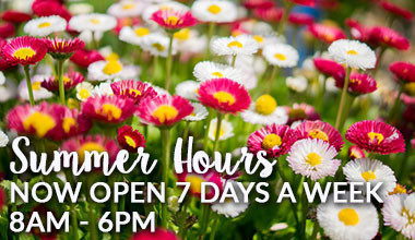 Chocolate & Wine Tasting - April 8, Harbor Lounge